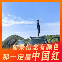 山少的猛龙头像