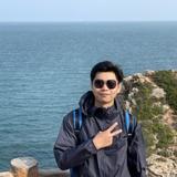沙漠大鲨鱼头像