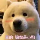 云朵上的小蚂蚁的个人资料头像