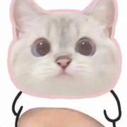 睡不饱的个人资料头像