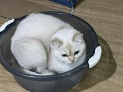 未陈的个人资料头像