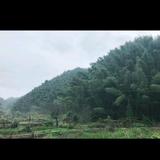 用户8244531480604头像