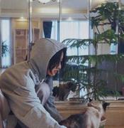 MockingbirdLee的个人资料头像