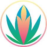 不懂装懂哦懂不懂头像