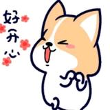 畅游者头像