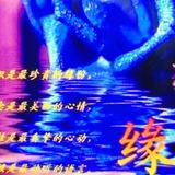 展望未来头像