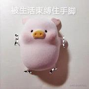 A大白13439449646的个人资料头像