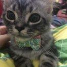 詺的个人资料头像