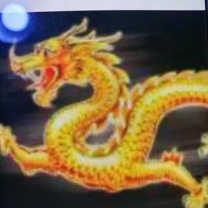 文龙头像