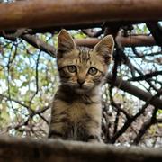 他乡遇故知251的个人资料头像