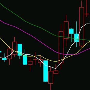 幸运山雀qK9头像