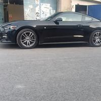 元气葡萄WUU头像