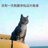 一枚黄司机头像