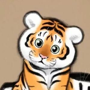 虎先森！头像