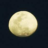 奋发有为火车ci头像