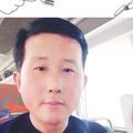 自由飞翔头像