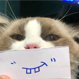 Hw猫猫头像