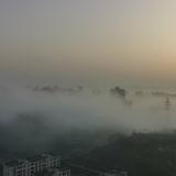 杨二娃686头像