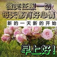 AA曾先生677头像
