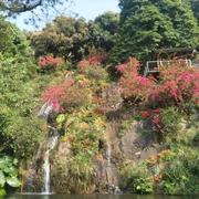 全栈深入的个人资料头像