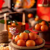 稍微懂点车先生头像