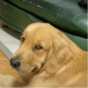 战斗小廖的个人资料头像