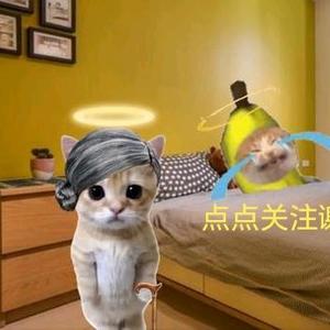 猫meme大剧场头像