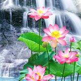 user395154822939方头像