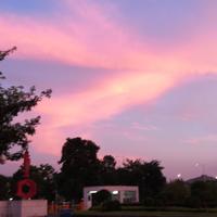 จบTeFuir632头像