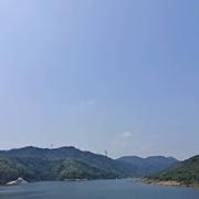 阿米尔的个人资料头像