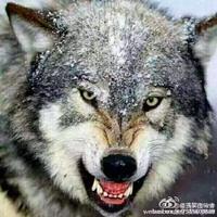 顺其自然7103738785539头像