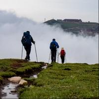 相寻千山头像