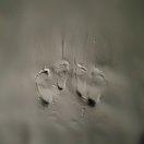 F的个人资料头像