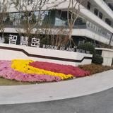 沉着百香果do头像