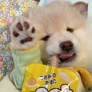 Augenstern735的个人资料头像