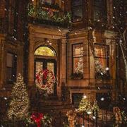 will80的个人资料头像