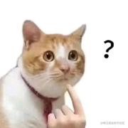 JustAvailable的个人资料头像