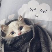 吴emo暂时有头发的个人资料头像