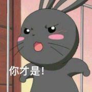 负能量回收器的个人资料头像