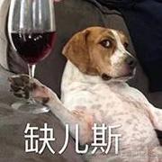 觉知四季的个人资料头像