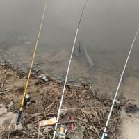 善欲见非真善头像