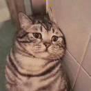 消散的时光吴凡的个人资料头像