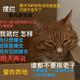 pure1ovemars · 凯迪拉克CT5车主·车龄2年头像