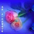 渝A铝模团队头像