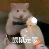 草丛一朵木兰花头像