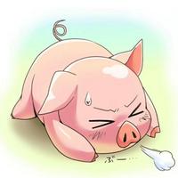 金石滩旁的无轨电车头像