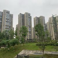 关心太平洋的大象先生头像