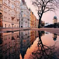 人来人往490头像