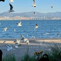 自由的阳光ljh头像