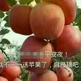 生活如酒556头像